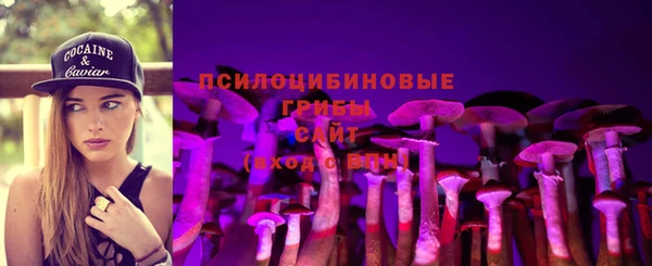 не бодяженный Алексин