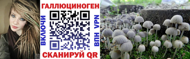 даркнет сайт Оханск Галлюциногенные грибы Psilocybine cubensis